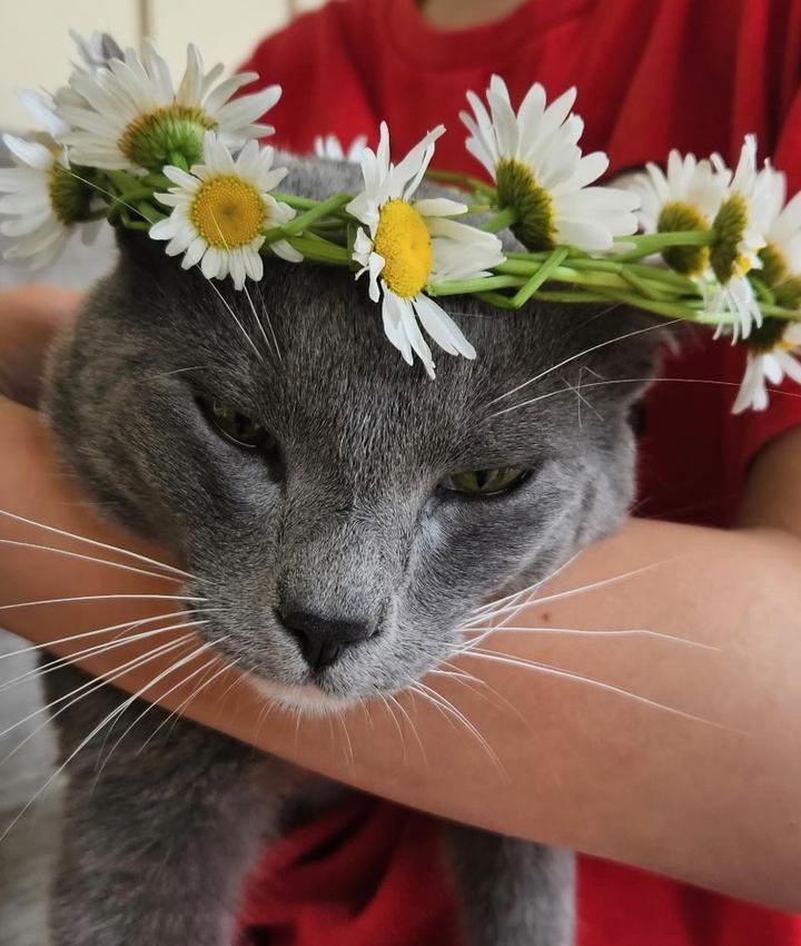 Portrait of Ruthie