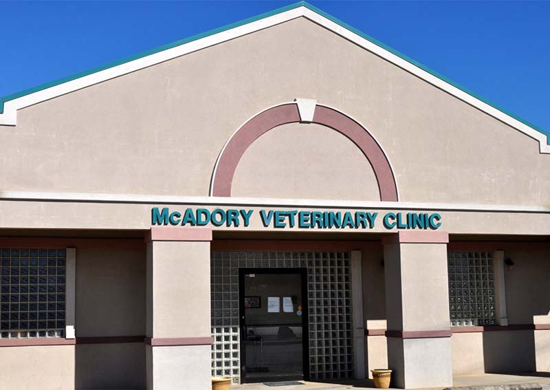 Carousel Slide 3: McCadory Veterinary Clinic, McCalla