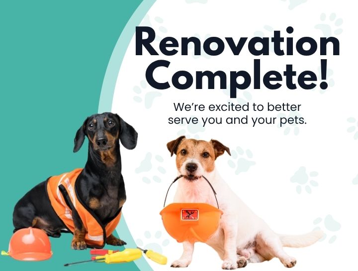 McAdory Veterinary Clinic has been Renovated to Serve You Better! 